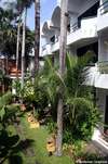 Safari Beach Hotel 
